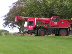 crane