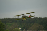 Electric Moth 3