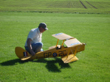Tiger Moth