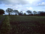 wp95ab3b67_0f.jpg