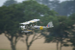 wpa68d7fa7_0f.jpg