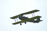 Electric Moth 2